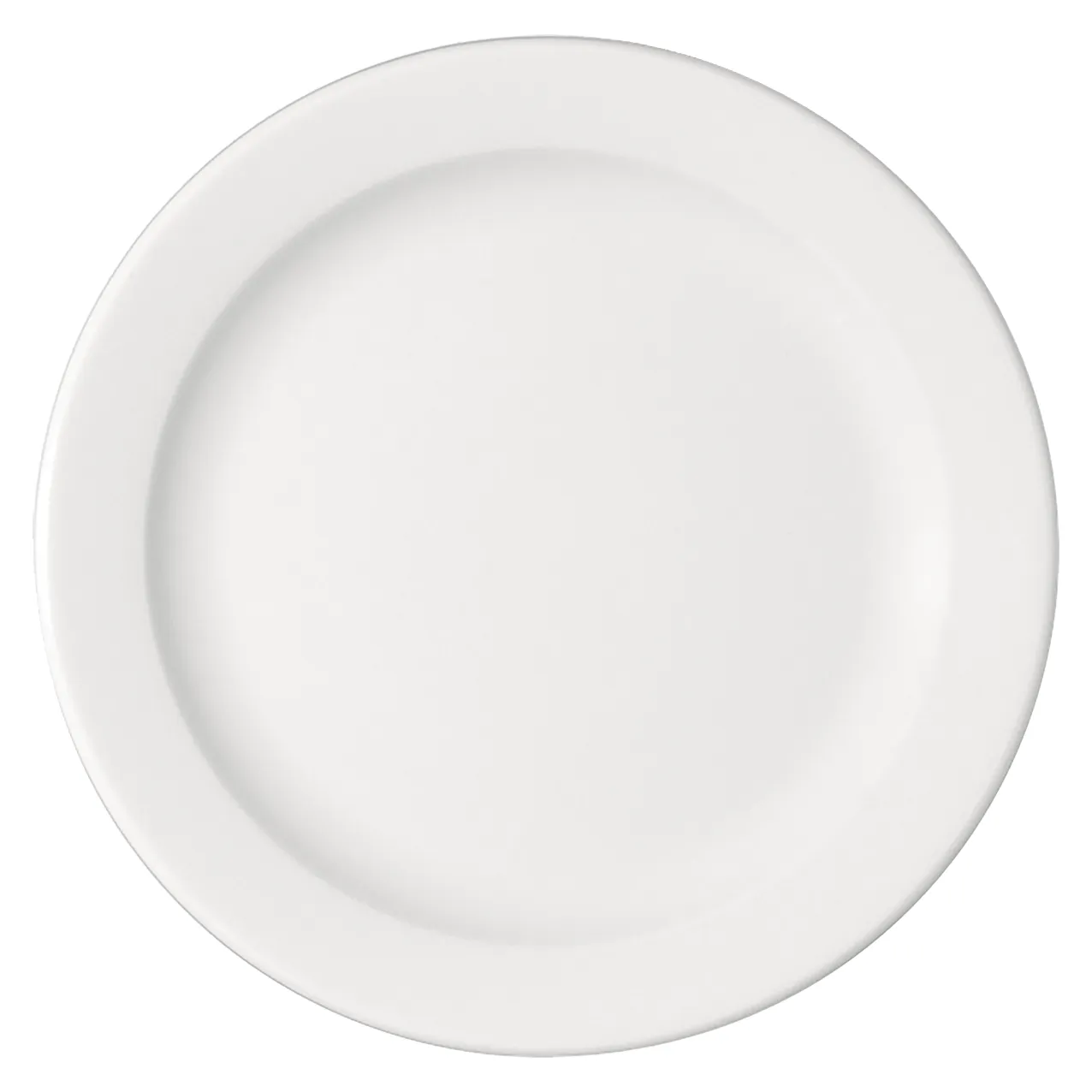 Bauscher B1100 Speiseteller flach Fahne 25 cm