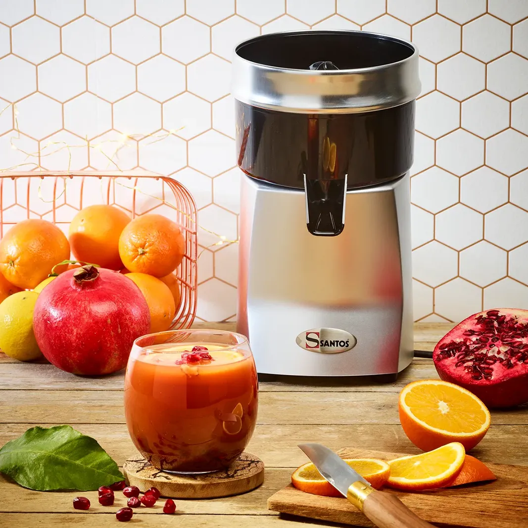 Saftpressen / Entsafter 