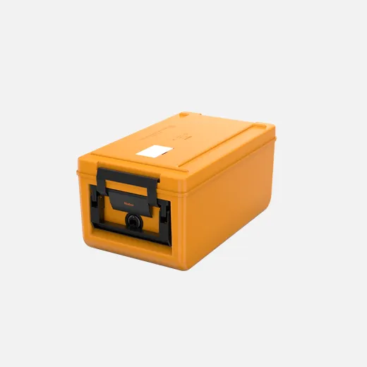 Kühlbox, Kunststoffbox, Transportbox, Kofferbox, orange